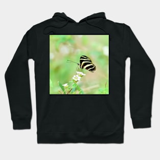 Zebra Longwing Butterfly Profile Hoodie